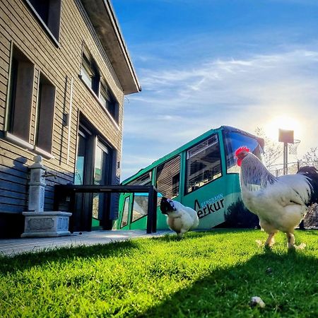 Exklusives Holzhaus Mit Bergbahn - Baden-Baden Im Schwarzwald Villa Exterior foto